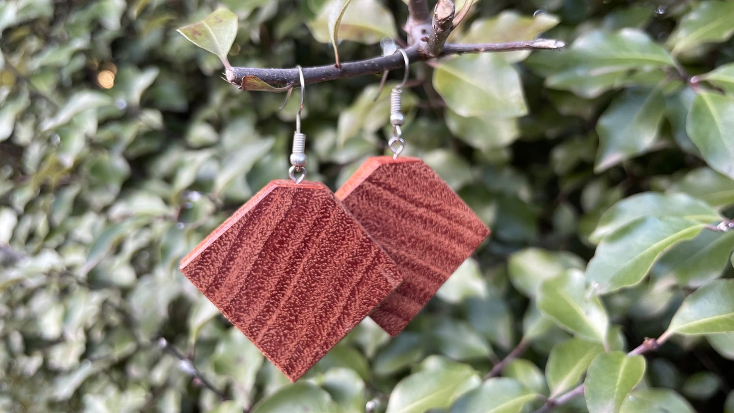 Redgum earrings