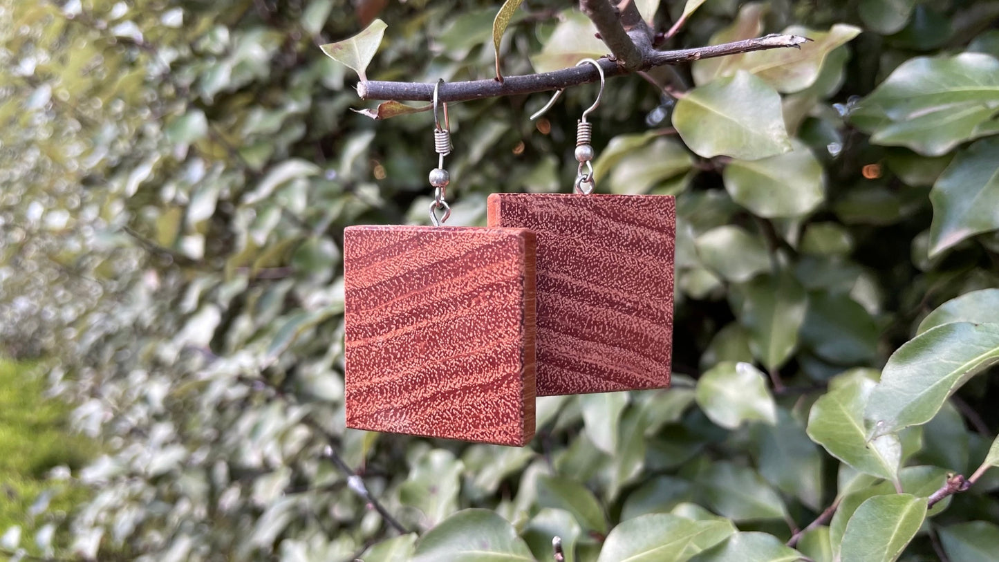 Redgum earrings