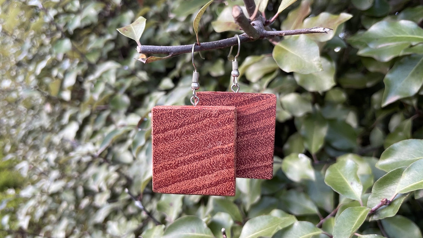 Redgum earrings