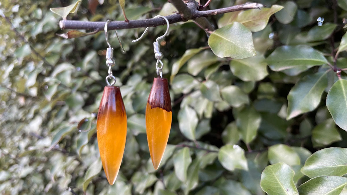 Earrings 14